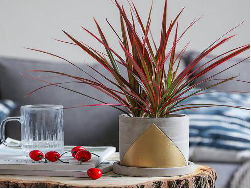 貴陽(yáng)裝修公司